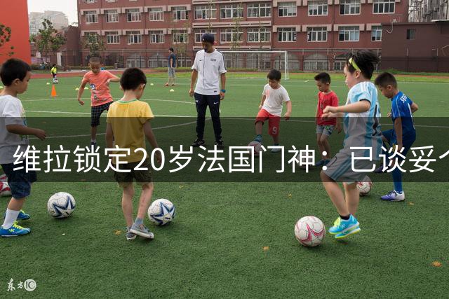 维拉锁定20岁法国门神：已谈妥个人条款，用他接班马丁内斯