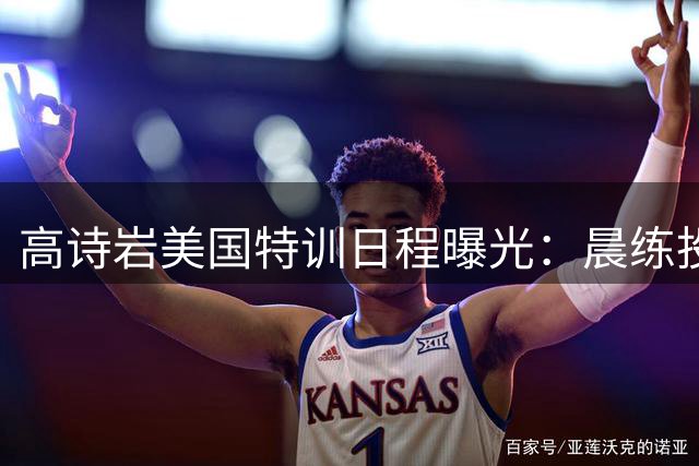高诗岩美国特训日程曝光：晨练投篮技术，下午专注康复治疗